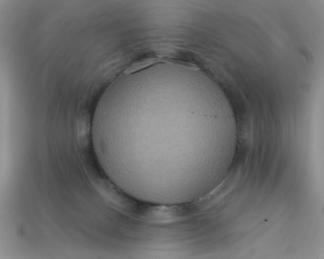 X0000113180082200909181902