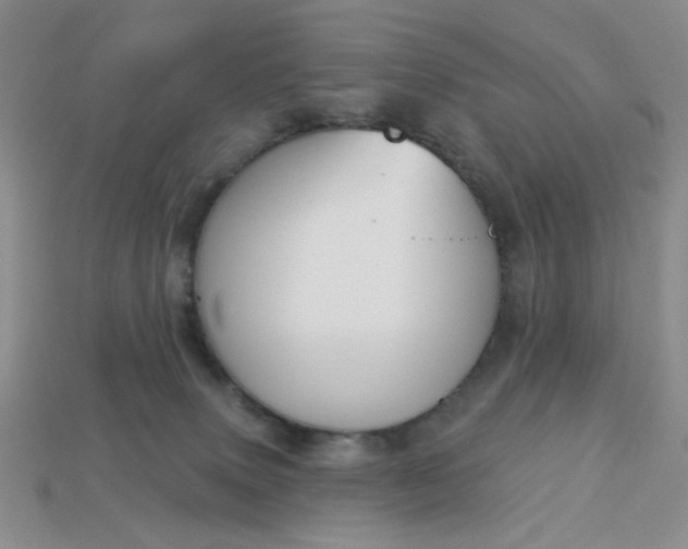 X0000113180083200909181902