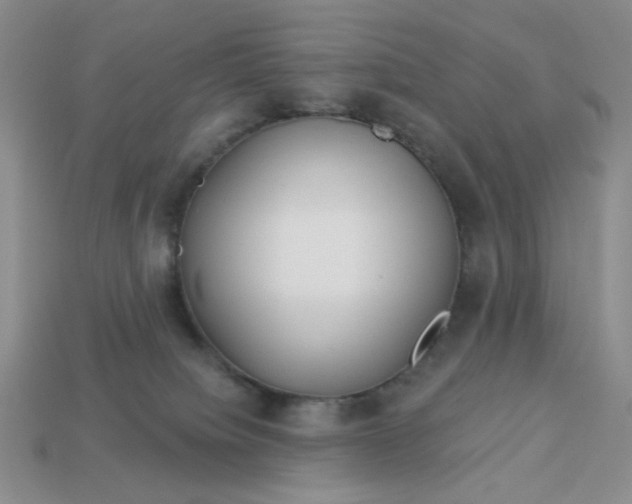 X0000113180084200909181902