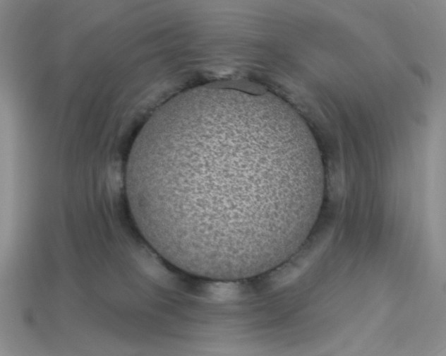 X0000113180085200909181902