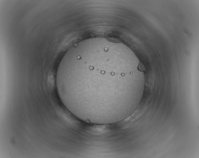 X0000113180086200909181902