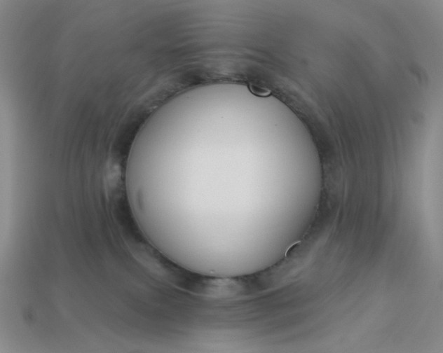 X0000113180087200909181902