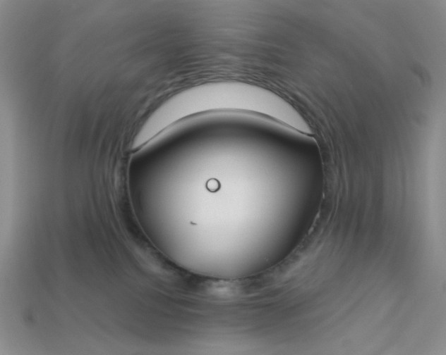 X0000113180088200909181902