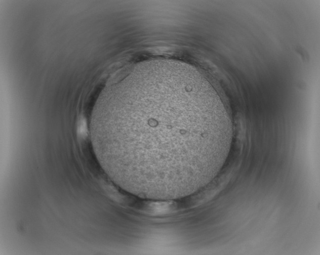 X0000113180089200909181902