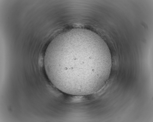 X0000113180090200909181902