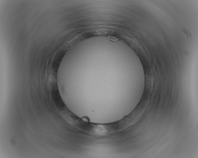 X0000113180091200909181902