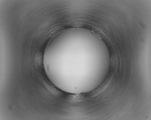 X0000113180092200909181902