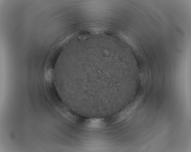 X0000113180093200909181902