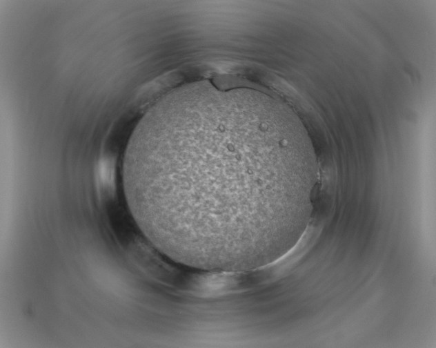 X0000113180094200909181902