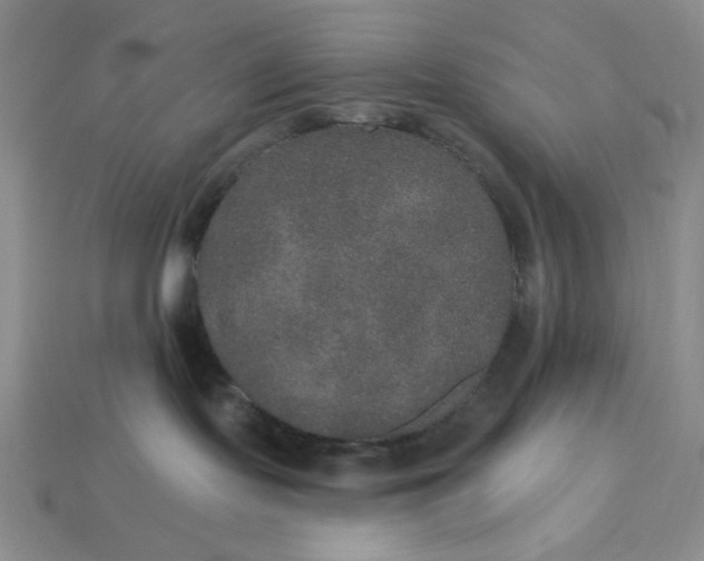 X0000113180095200909181902