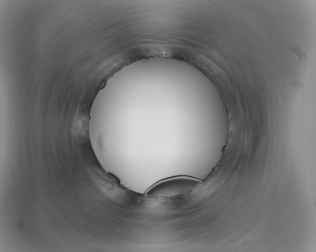 X0000113180096200909181902