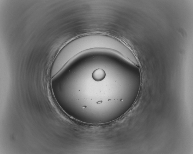 X0000113180097200909181902