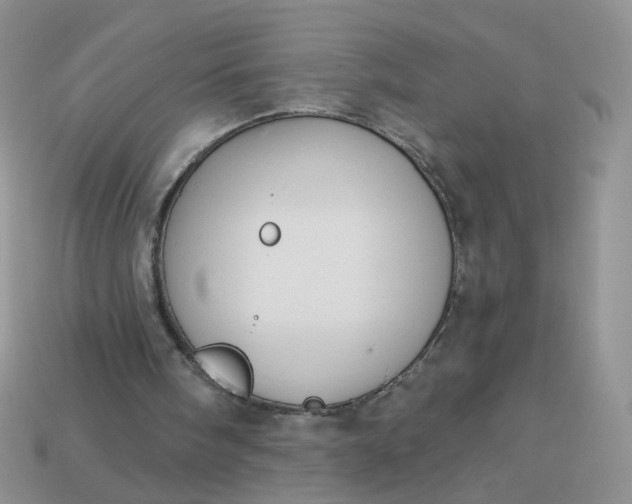 X0000113180098200909181902