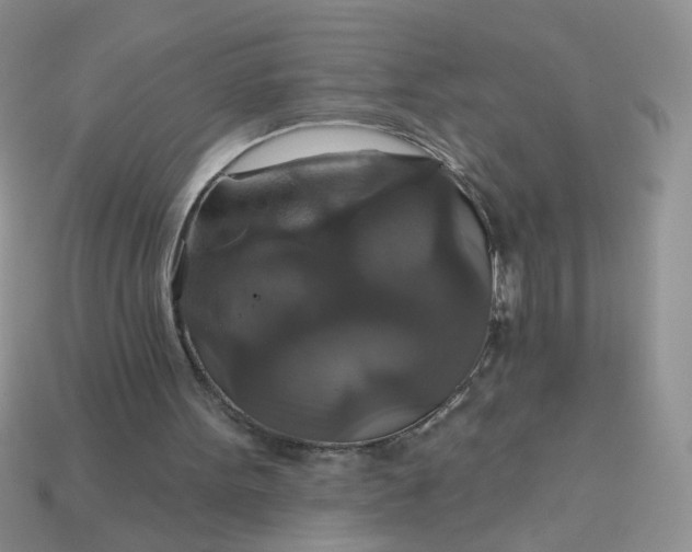 X0000113180099200909181902