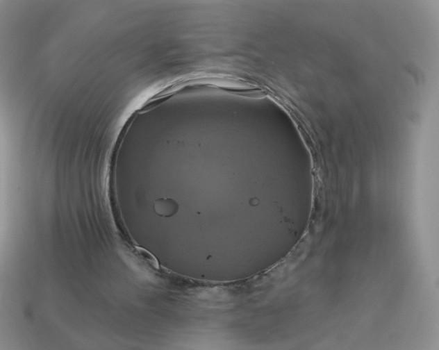 X0000113180100200909181902