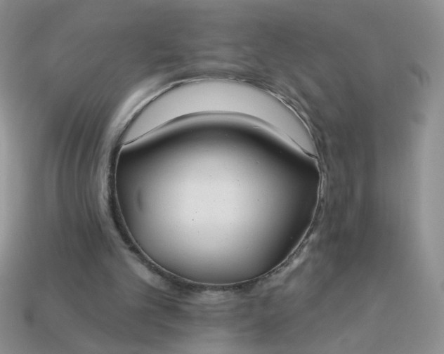 X0000113180101200909181902