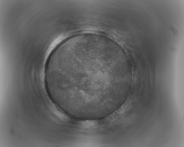 X0000113180102200909181902