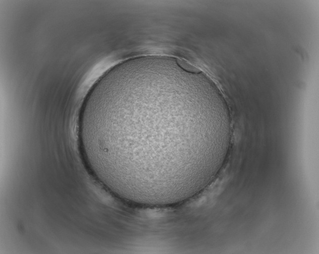 X0000113180103200909181902