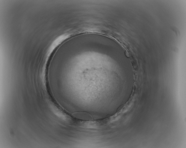 X0000113180104200909181902