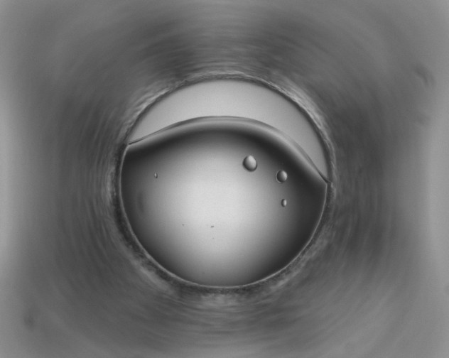 X0000113180105200909181902