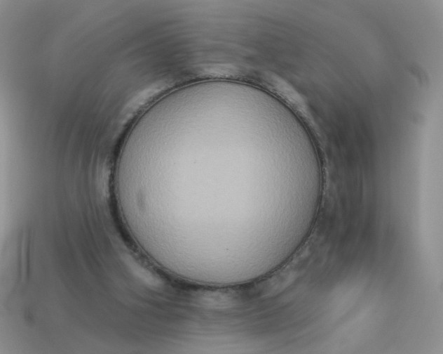 X0000113180106200909181902