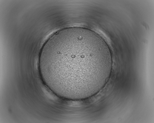 X0000113180107200909181902