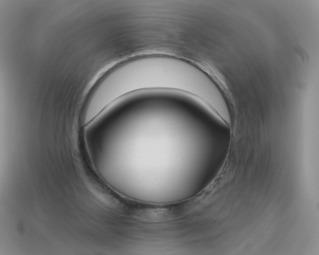 X0000113180108200909181902