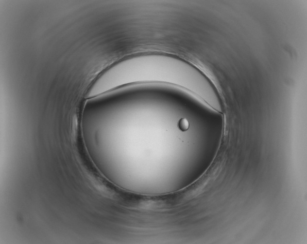 X0000113180109200909181902