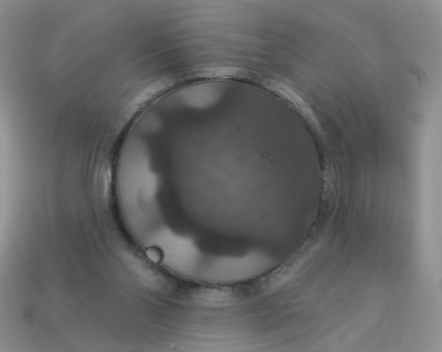 X0000113180110200909181902