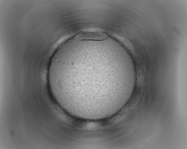 X0000113180111200909181902