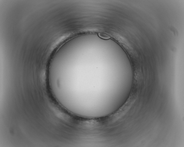 X0000113180112200909181902