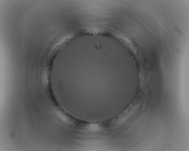 X0000113180114200909181902