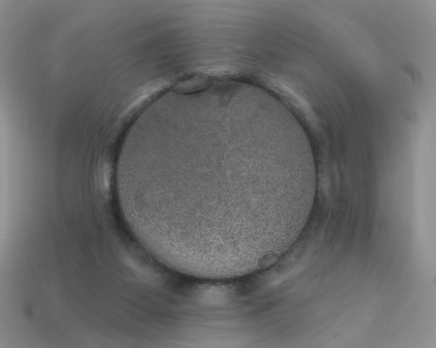 X0000113180115200909181902