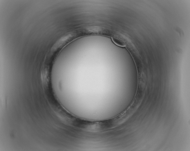 X0000113180116200909181902