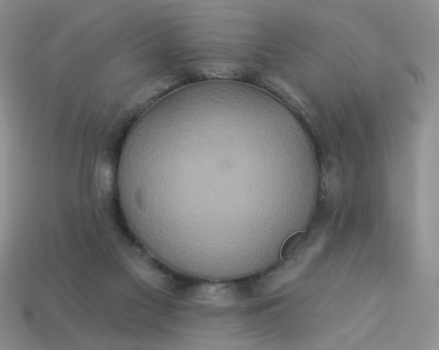 X0000113180117200909181902