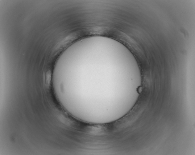 X0000113180118200909181901