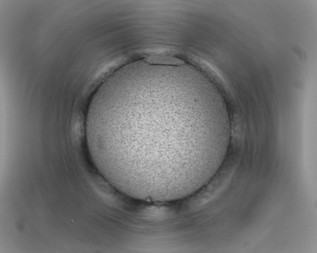 X0000113180119200909181901