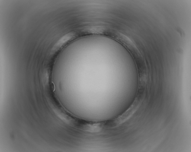 X0000113180120200909181901