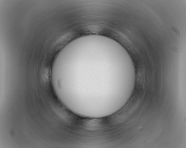 X0000113180122200909181901