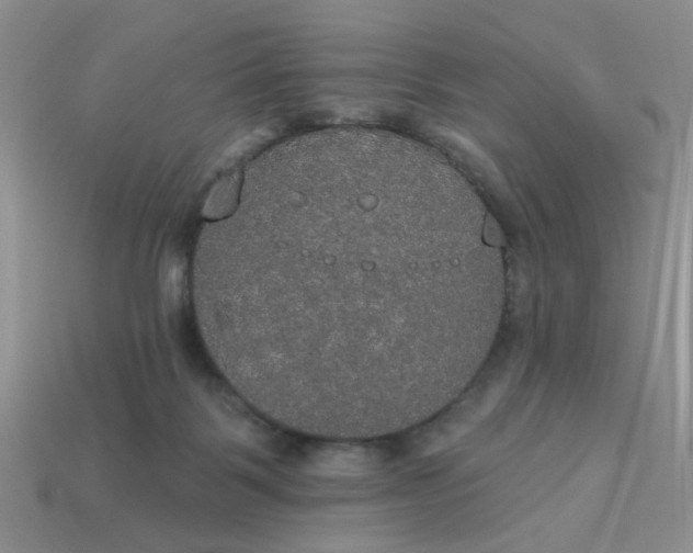 X0000113180123200909181901