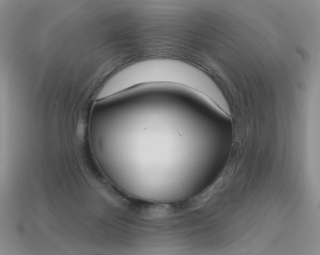 X0000113180124200909181901