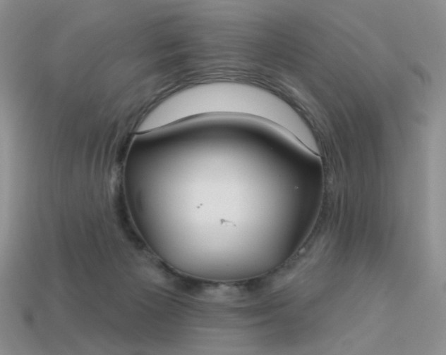 X0000113180125200909181901