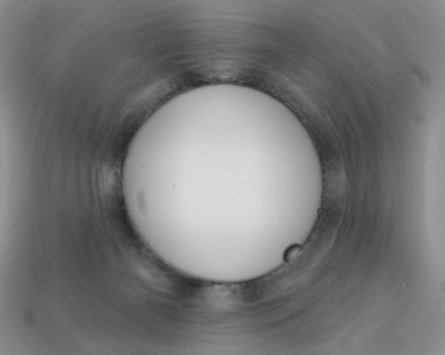 X0000113180126200909181901