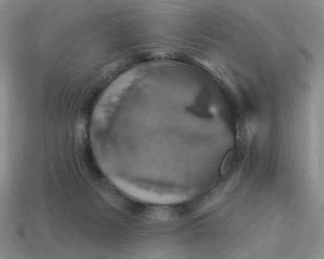 X0000113180127200909181901