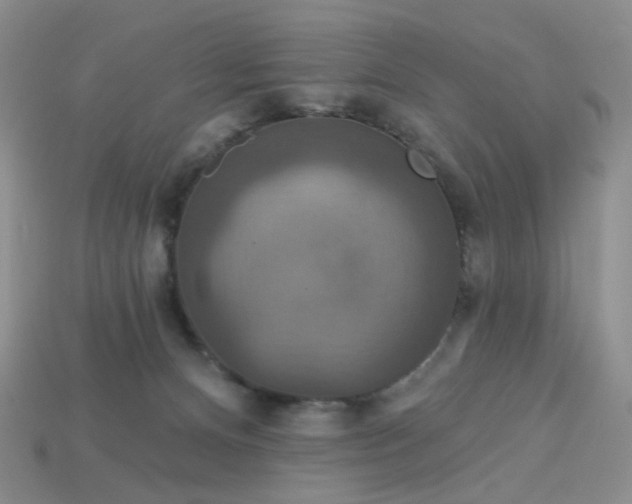 X0000113180128200909181901