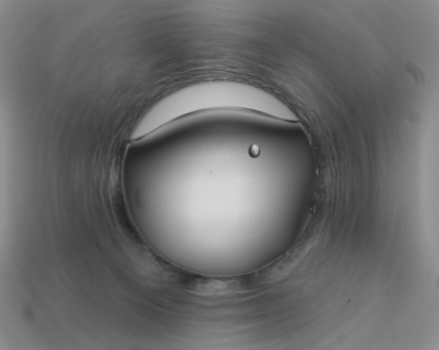 X0000113180129200909181901