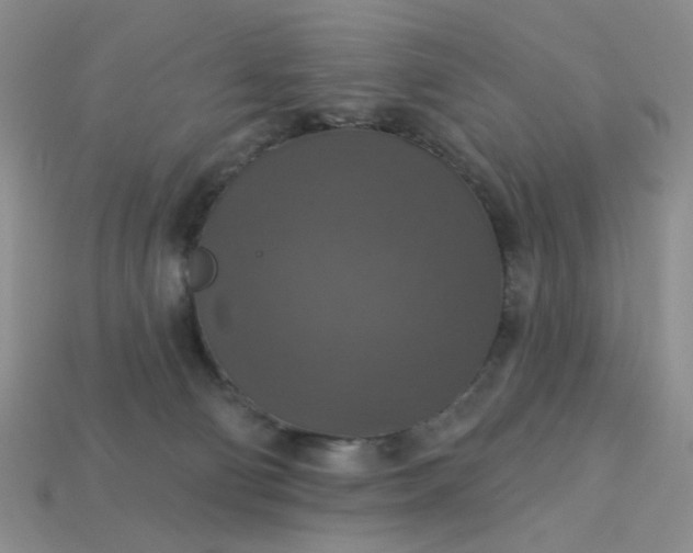 X0000113180130200909181901