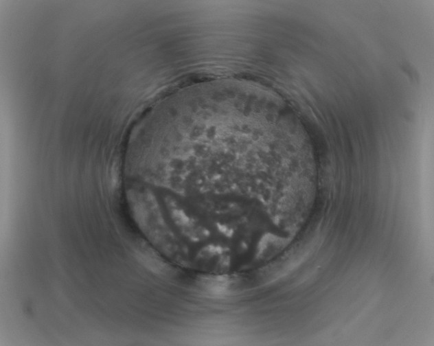 X0000113180131200909181901