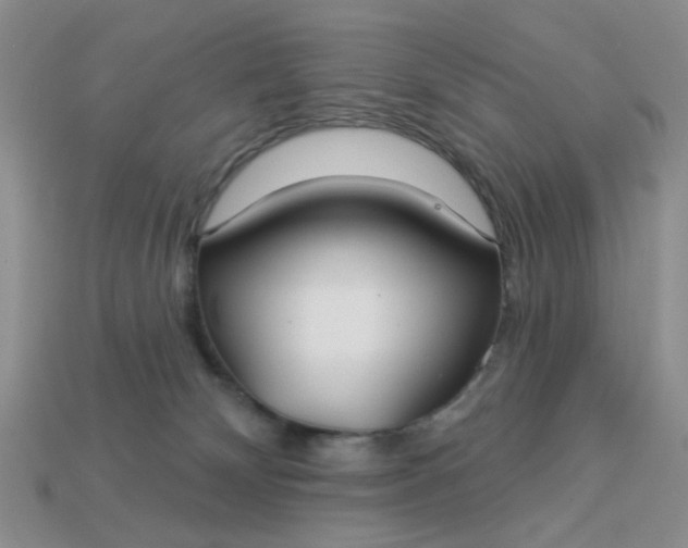 X0000113180132200909181901