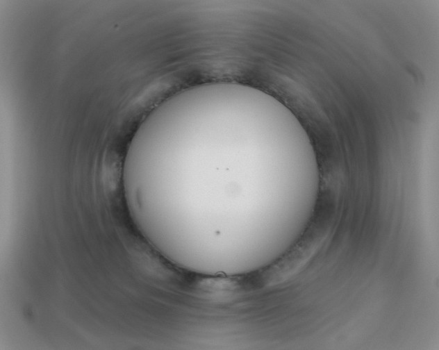 X0000113180133200909181901